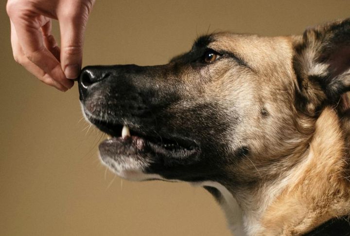Use Neutral Touch For Communication