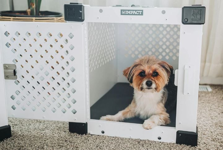 Pets Must Stay Completely Inside The Carrier