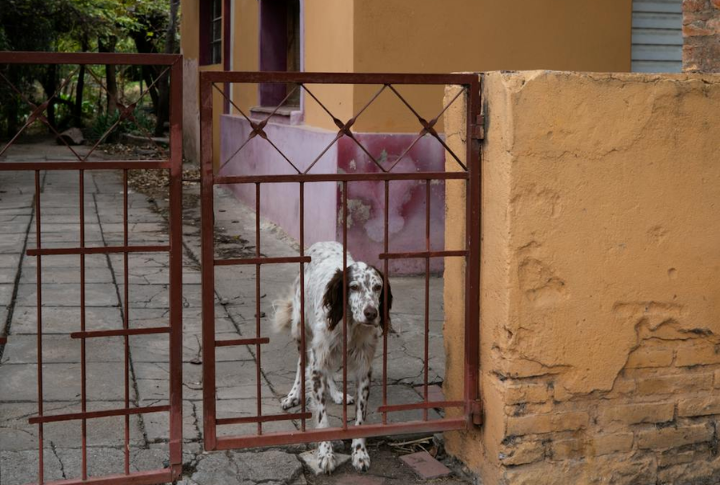 Attempting To Escape Fenced Areas