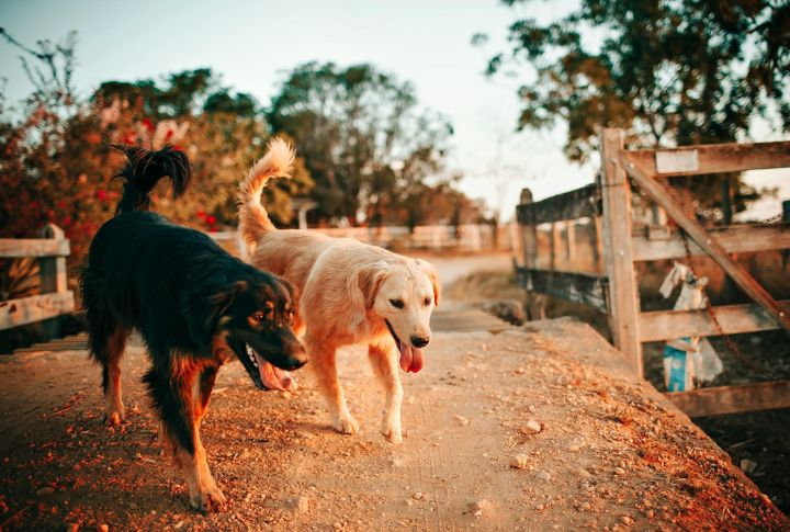 Easier Adaptation to Household Changes