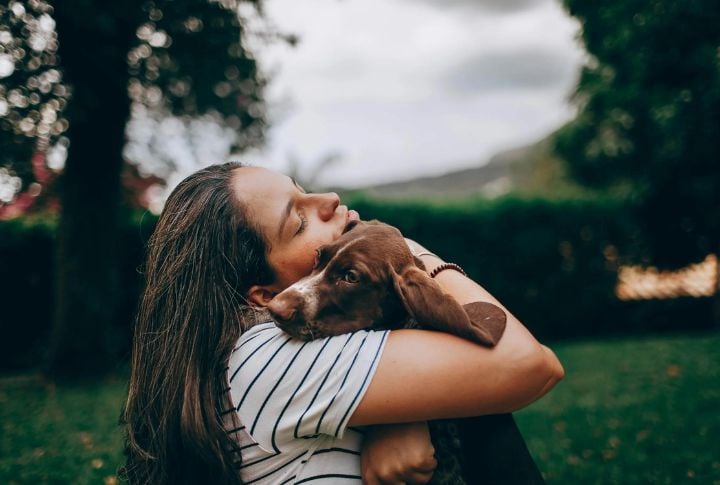 The Shift Toward Breed-Neutral Laws Is Growing