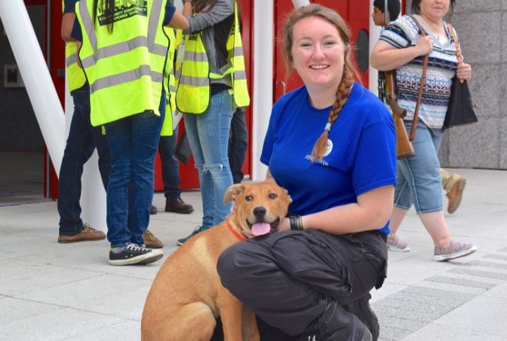 It's Not Possible To Bond With A Rescue Dog