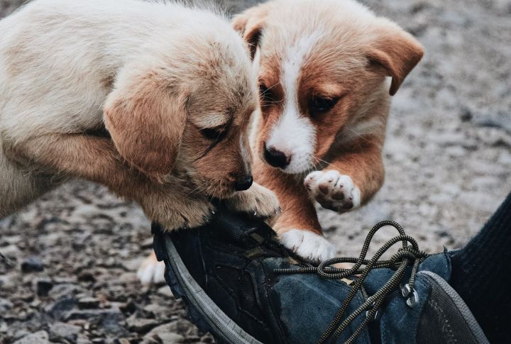 A Sense Of Ownership