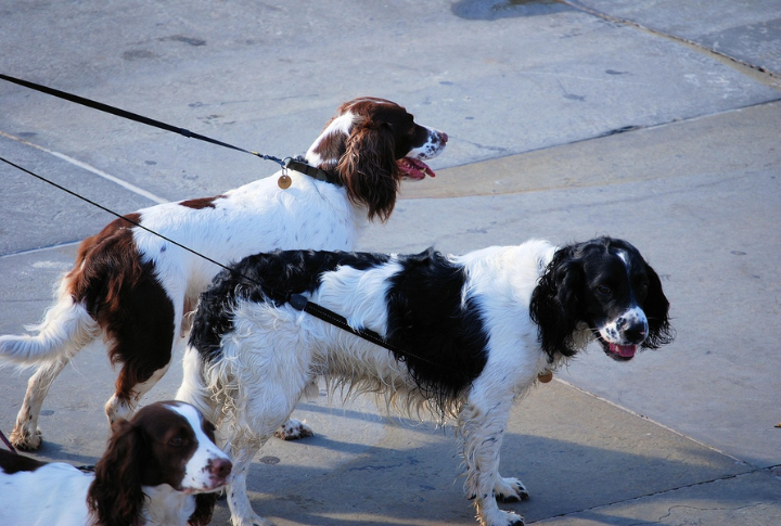Displaying Selective Hearing During Training