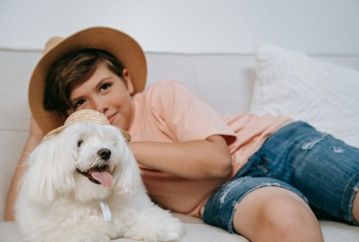 Understanding The Breed's Origins
