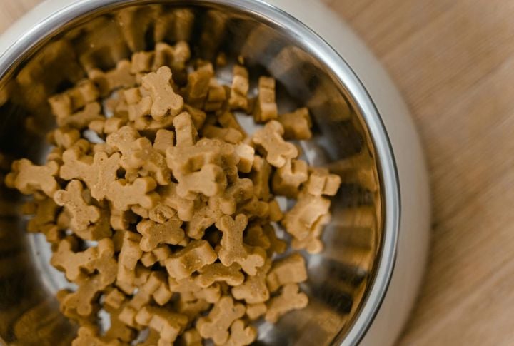 Choose High-Quality Dog Food