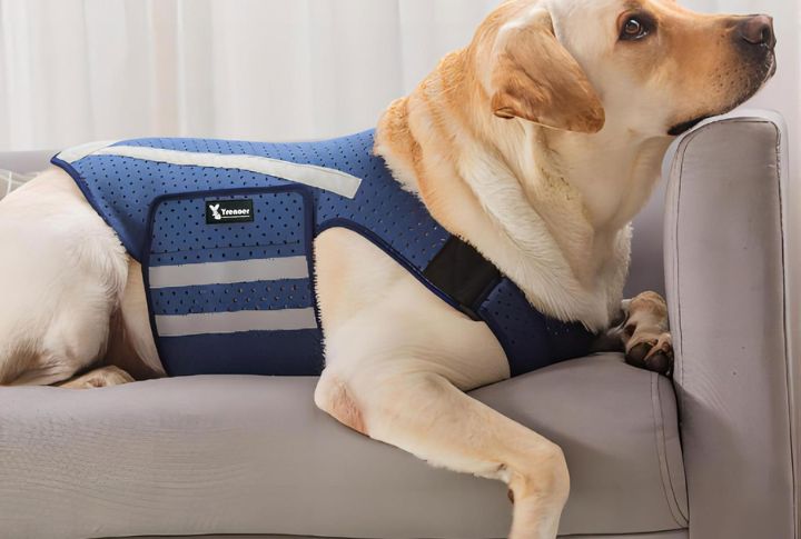 Body Wrap Or Anxiety Vest