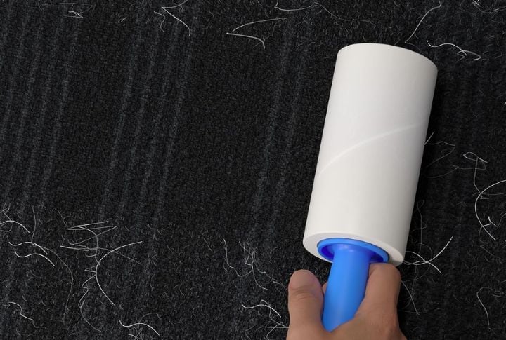Use A Lint Roller Like A Pro