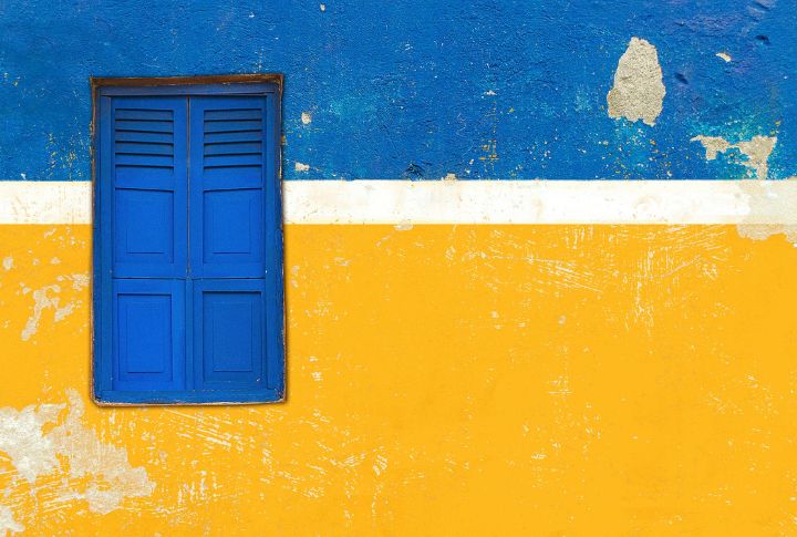 Dogs See Only Blue And Yellow Hues