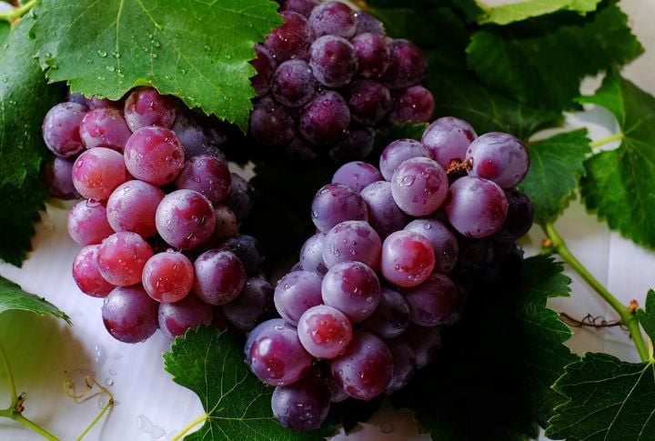 Bad: Grapes And Raisins