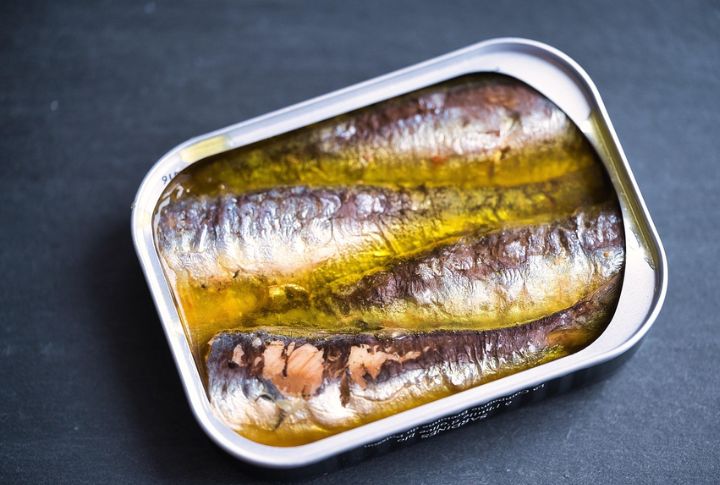 Sardines