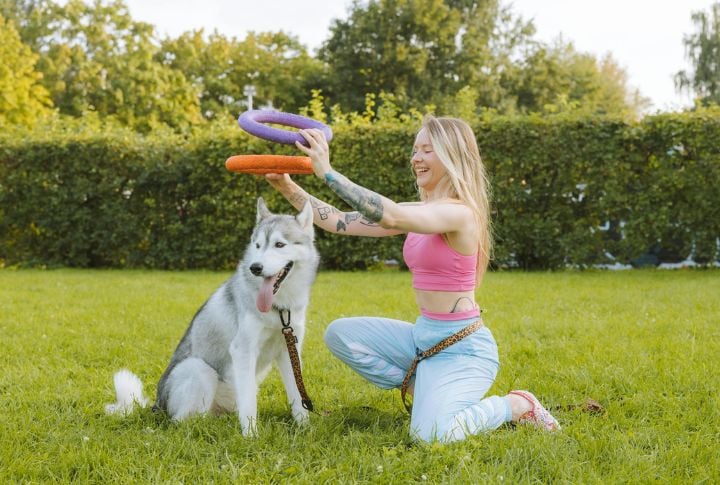 Older Dogs Can't Learn New Things