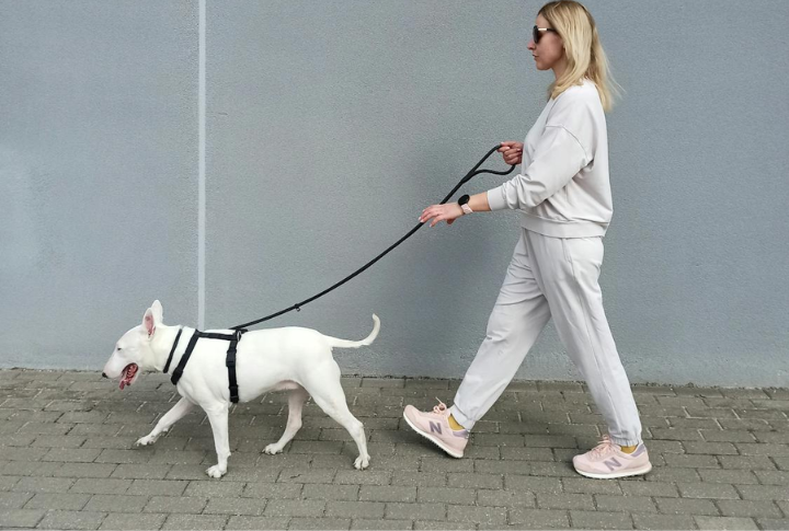 A Balance Of Courage And Affection