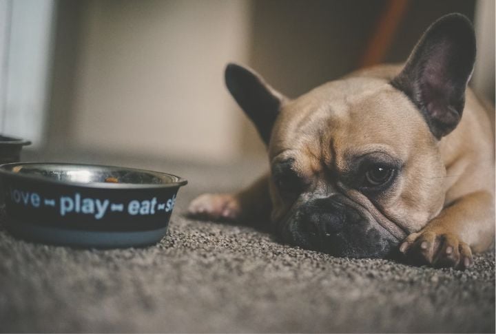 Loss Of Appetite