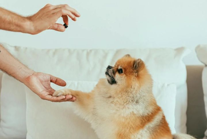 Desensitization Exercises