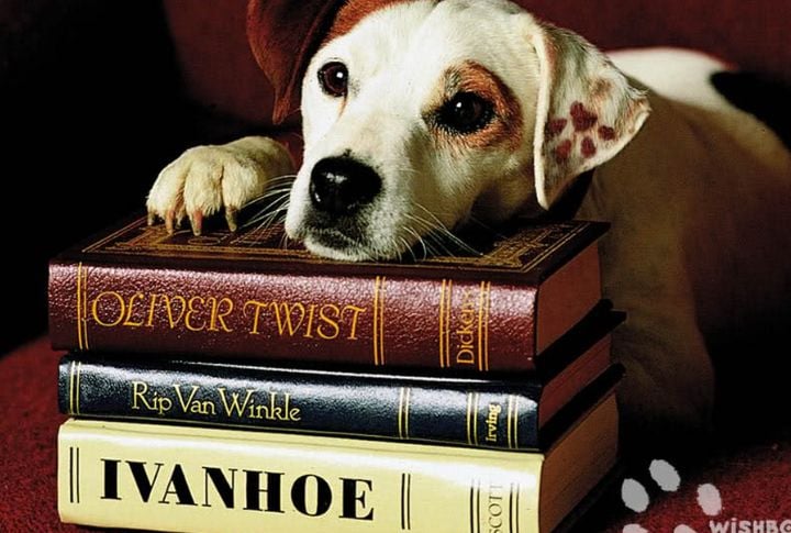 Wishbone