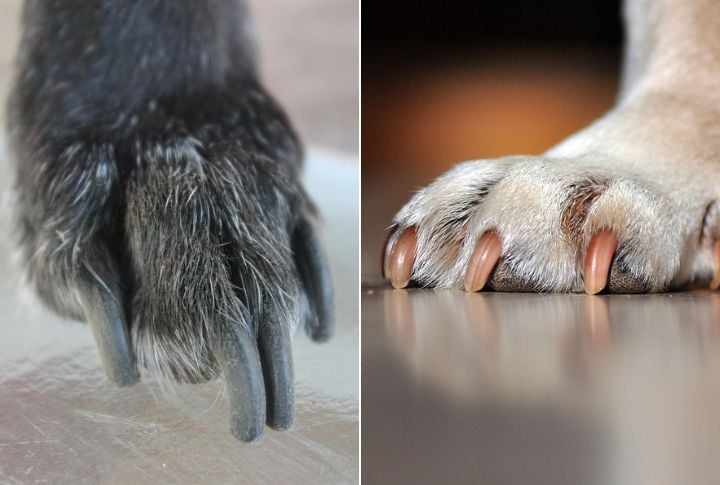 Nail Color Isn't Just About Looks
