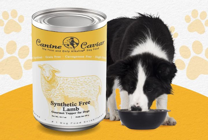 Canine Caviar Limited Ingredient Diet
