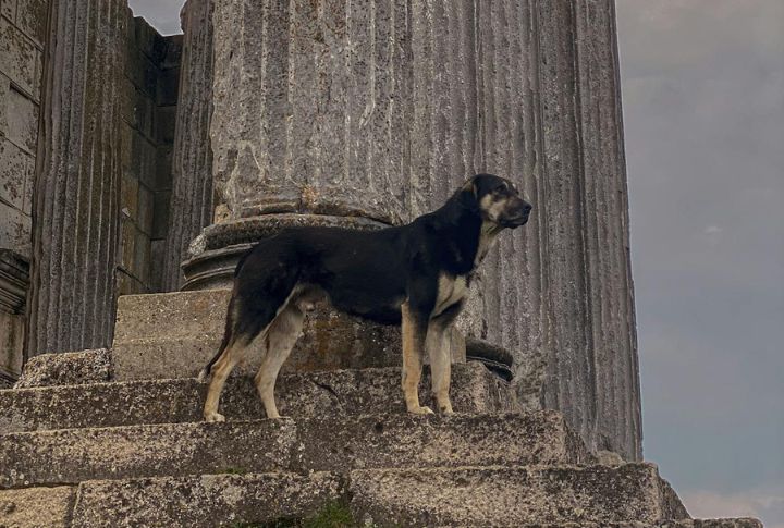 Mythology And Ancient Lore