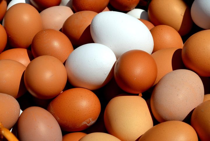 Eggs