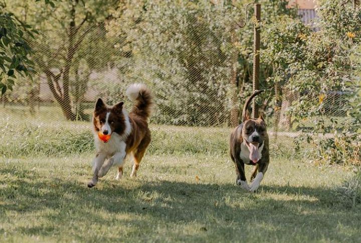 Faster Behavioral Learning