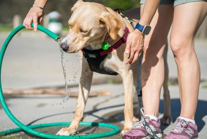 Provide Fresh, Clean Water 