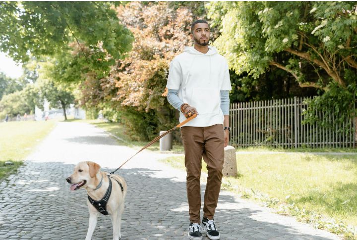 Routine Walks