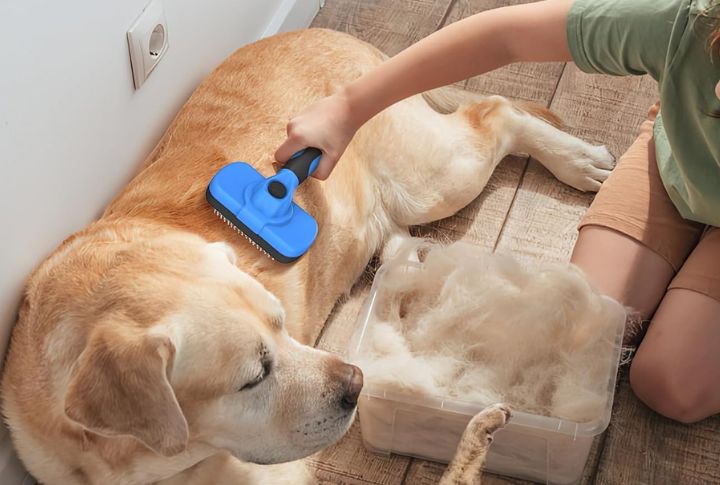 Go For A Dedicated Pet Hair Brush