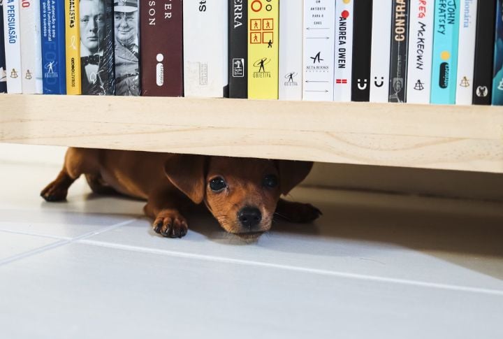 Isolation Or Hiding