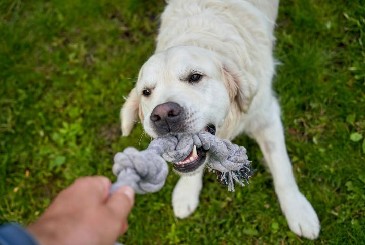 Tug Games