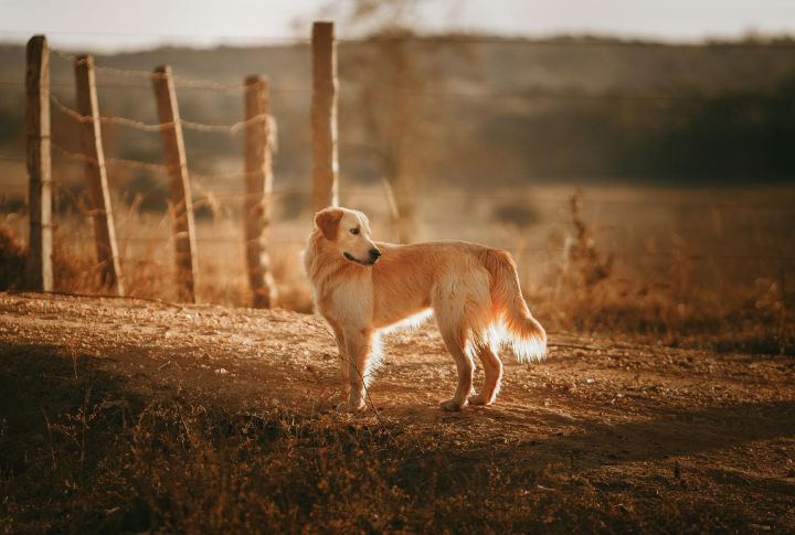 Rustic And Western Vibes