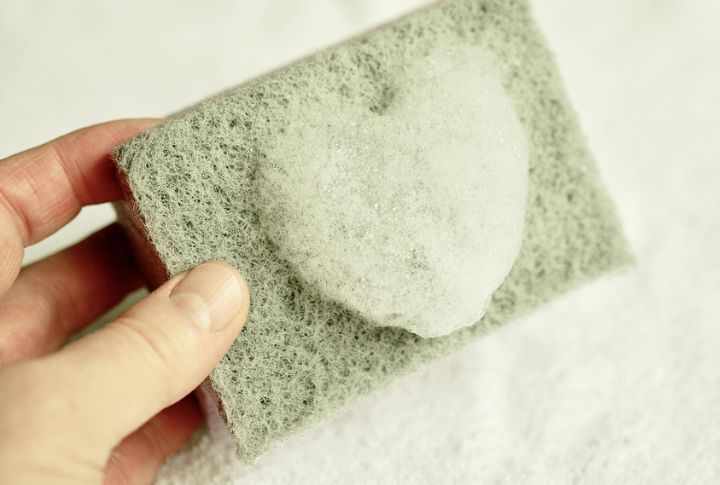 Use A Damp Sponge For Stubborn Fur
