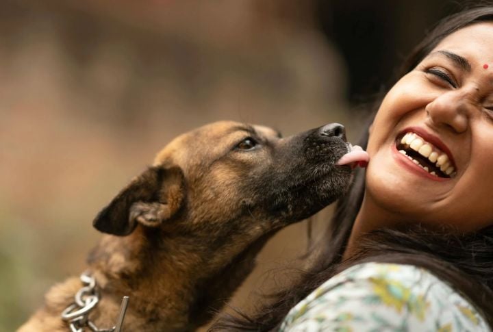 Muzzle Nuzzling And Licking