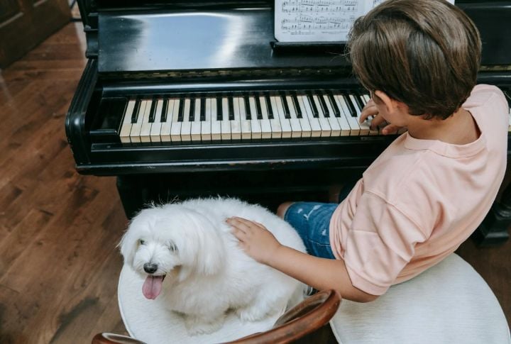 Instrumental Lullabies Aren't Just For Babies