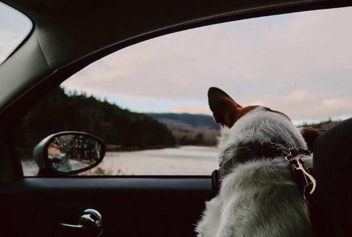 Individuals Who Travel Frequently