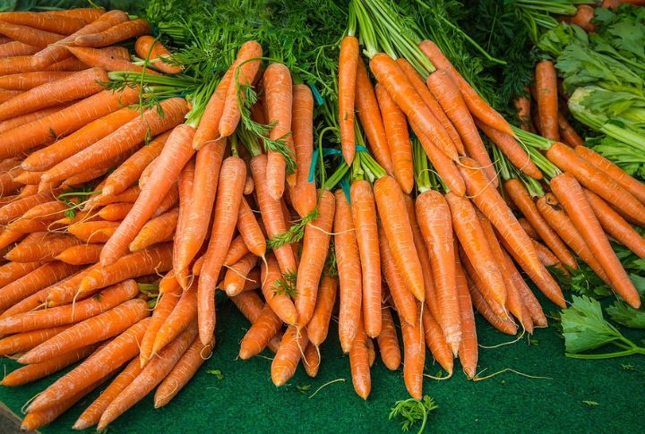 Carrots