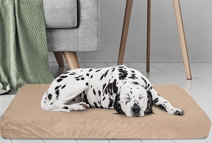 Petmaker Bed