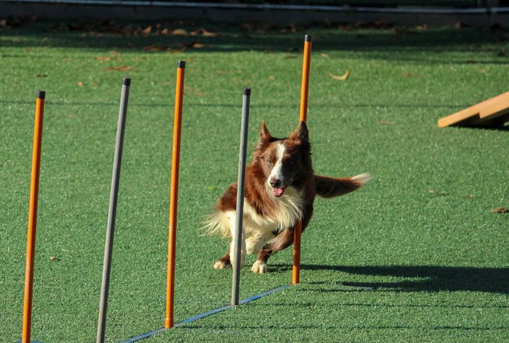Build Engagement With Structured Play