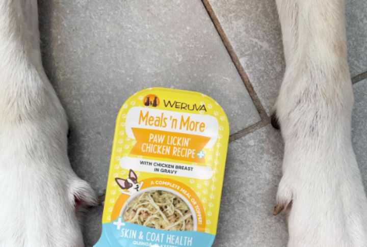 Weruva Canned Meals' n More