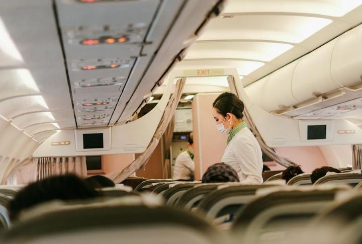 Only Small Dogs Qualify For In-Cabin Travel