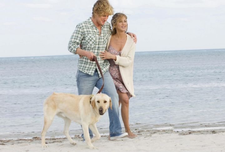 Marley In “Marley And Me”