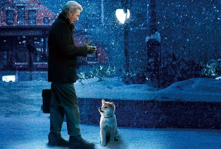 Hachi In “Hachi A Dog’s Tale”