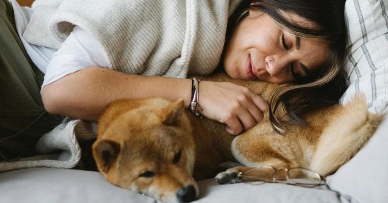 15 Insights Into How Dogs Dream And What It Means