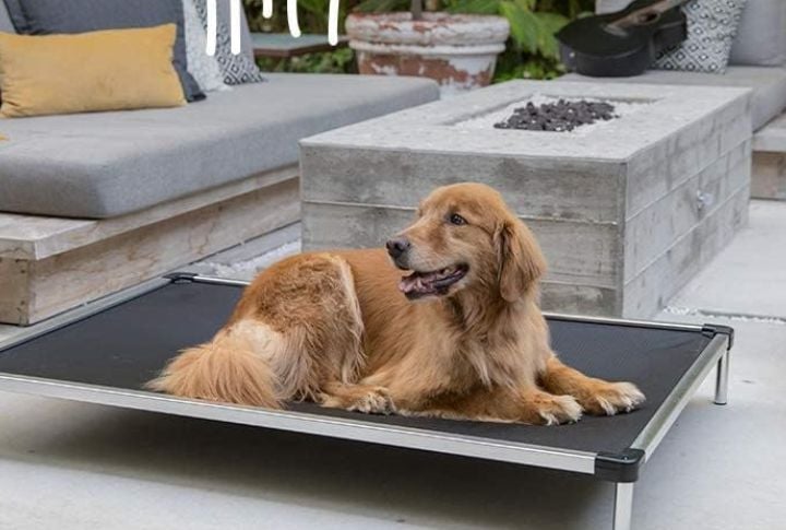K9 Ballistics Chew Proof Bed