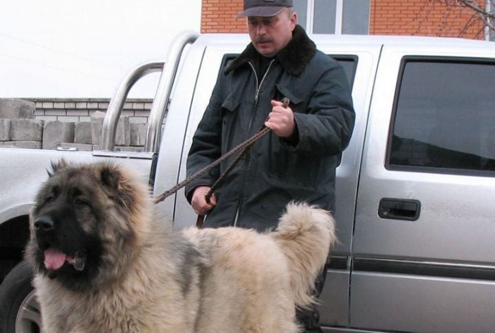Serious Security Credentials