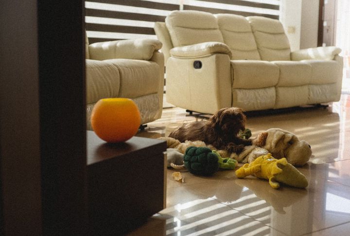 Responding To Household Chaos