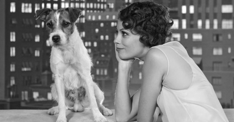 15 Unforgettable Films Where Dogs Steal The Spotlight