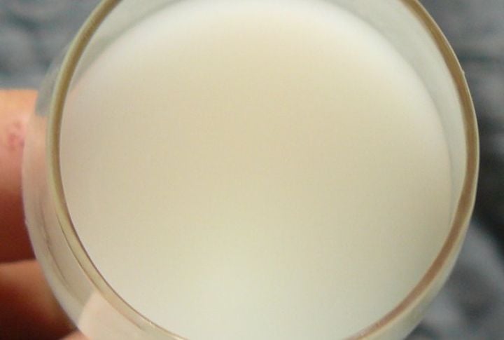 Goat Milk Sauce