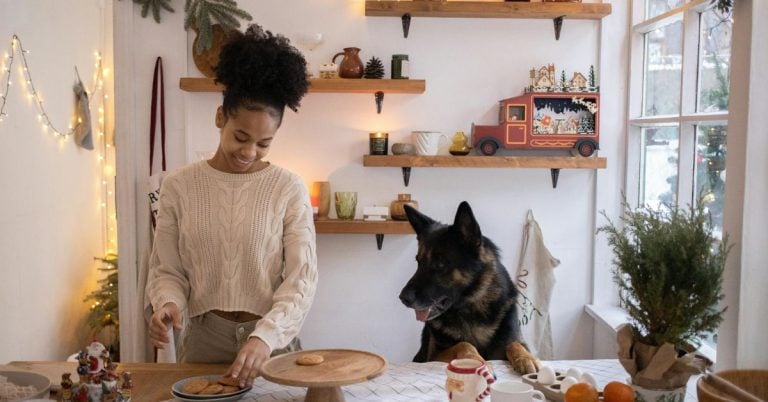 15 Reasons Homemade Dog Treats Are Worth Making