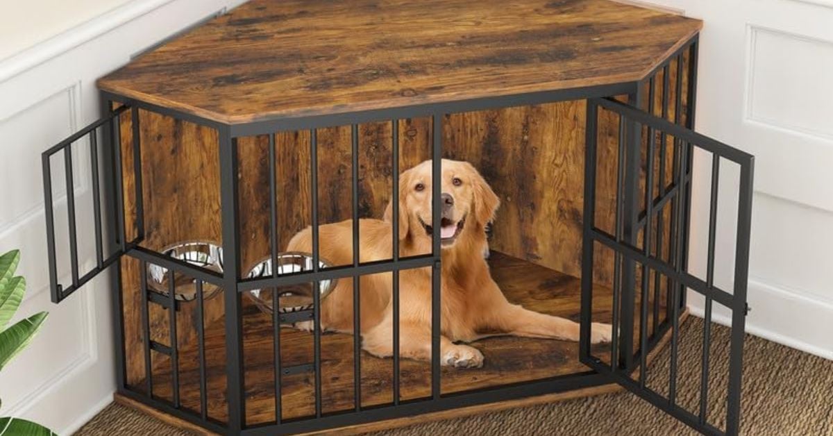 View of 15 Eco Upgrades That Make Your Home Safer For Dogs